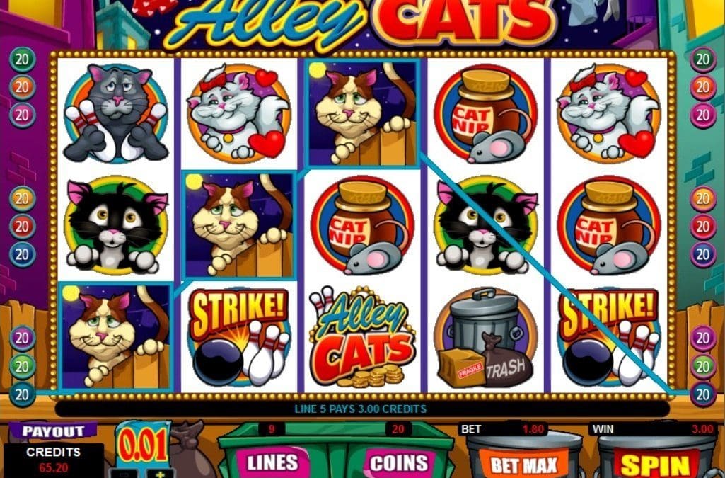 What the Alley Cats Casino Game is All About