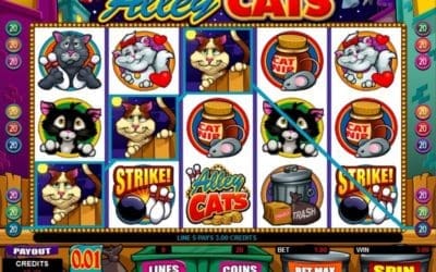 Alley Cats & The Dream Slot Review and Play Demo – Feline Fun, Fantasy Wins, Bonus Features, and Big Payout Possibilities