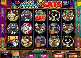 Alley Cats Casino Game