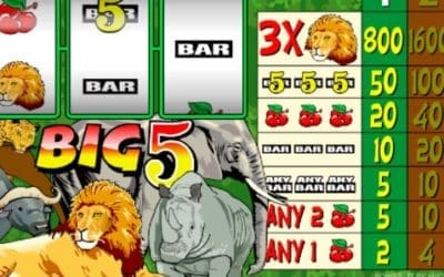 Big 5 & Rise of Maya Slot Review – Best Features & Payouts